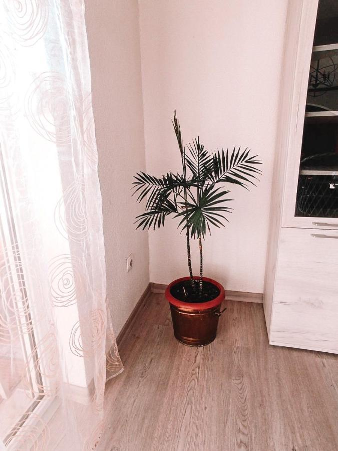 Apartament Poseidon House Mostar Zewnętrze zdjęcie